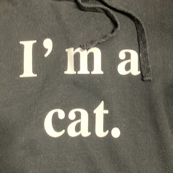 Cat Ear I’m A Cat Women’s Hoodie - Picture 2 of 5